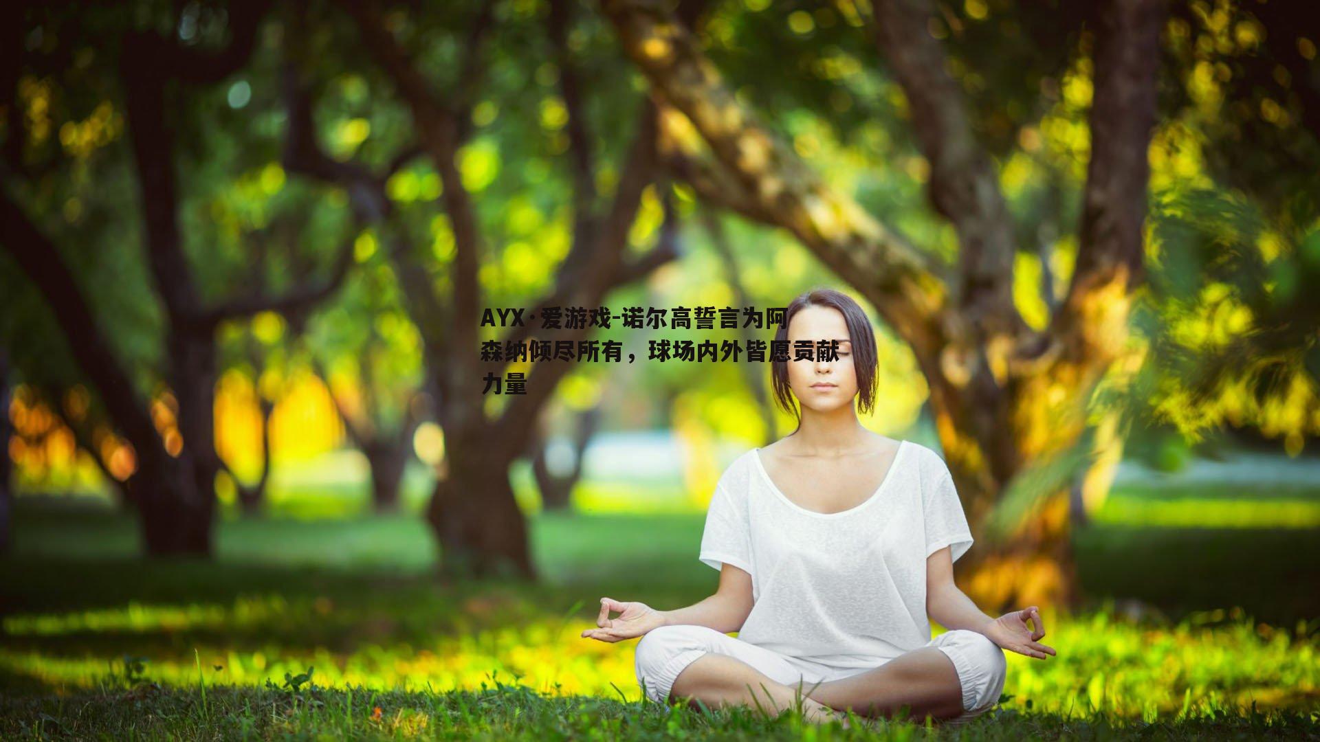 诺尔高誓言为阿森纳倾尽所有，球场内外皆愿贡献力量
